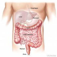 gastric emptyping-1