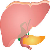 hepatobiliry-1