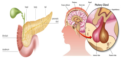 HYNICTOC